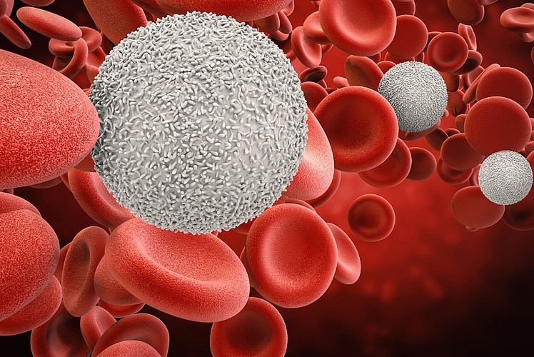 Hématologie Hématologie